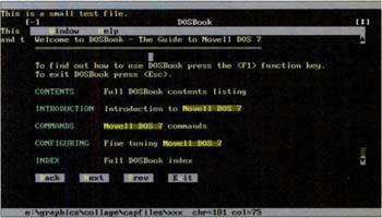 novelldos7_dosbox