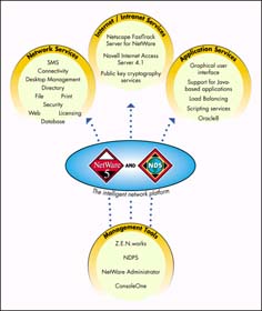 netware5_ecosistema