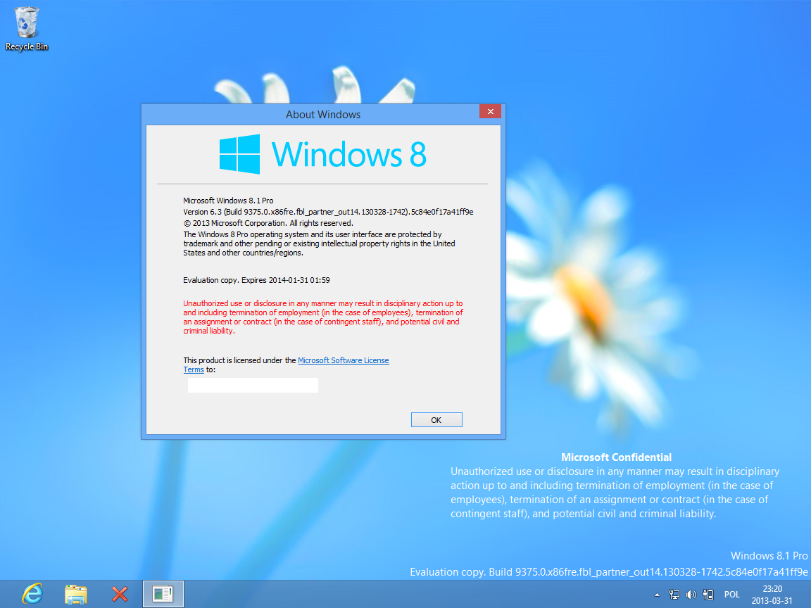 windows81