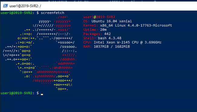 winserver2019 bashshell